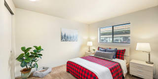 Rainier Pointe Gallery 20