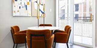 The Lynx The Lynx Gallery 19