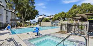 Harbor Park Apartment Homes Gallery 5