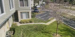 8043 Lagos De Campo Blvd Gallery 6