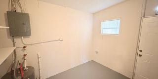 310 Kentia Road Gallery 10