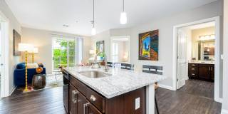 River & Rich Gallery 11