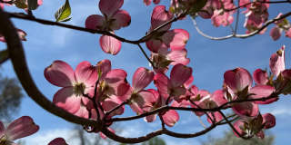 12929 ESWORTHY Road Gallery 5