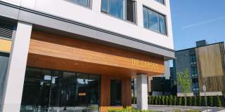 The Carson Gallery 66