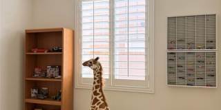 29657 Starring Gallery 31