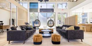 The Lotus Gallery 25