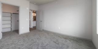 Savanna Nine Mile Gallery 77