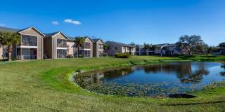 Venice Park Gallery 26