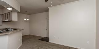 The Woods at Johnson Mill Gallery 19