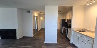 Hillside Terrace Gallery 95