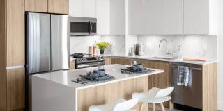 Cascade Link at Douglas Gallery 6