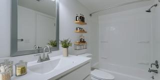South Grove Apartments Gallery 8