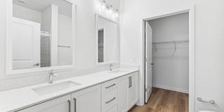 Mosby at Avalon Park Gallery 15