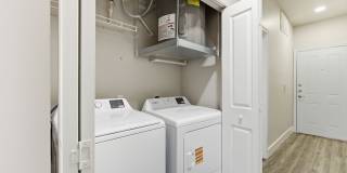 Siena on Sonterra Gallery 34