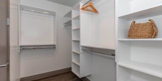 Live Grandscape Gallery 28