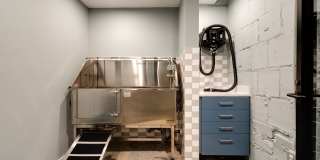 The Carousel Gallery 32