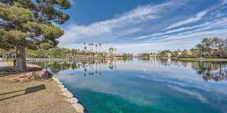 Beautiful Home In Desert Shores Community With A Pool! Gallery 23