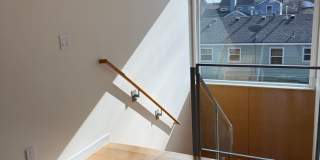 Silver Maple Stunning Gallery 29