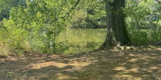 2126 Kimball Circle Gallery 35