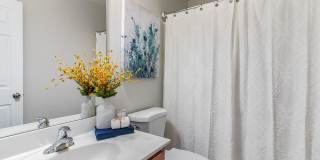 2902 Framer Lane Gallery 20