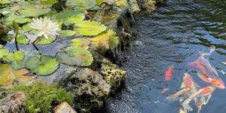 2900 NE 14th Street Causeway unit: 514 Gallery 35