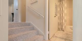 Citrus Creek East Gallery 15