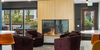 Ellis at Bel-Red Gallery 19