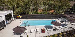 The Harrison Gallery 34