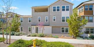 430 Lobata 430 Lobata Gallery 1