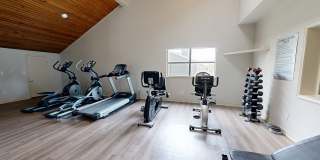 Windrush Apartments Gallery 18