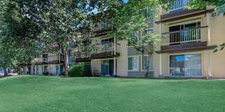 Carrington Gallery 7