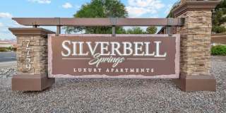 Silverbell Springs Gallery 54