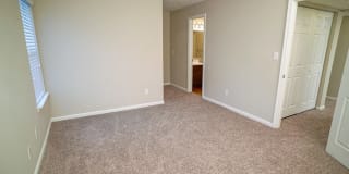 Hampton Center Gallery 19