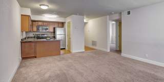 City View Apartments Gallery 7