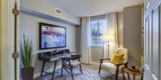 Sofia Coral Gables Gallery 24