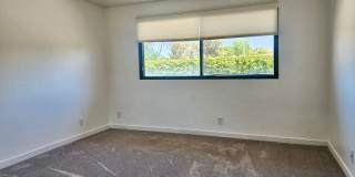 5151 Walnut Gallery 15