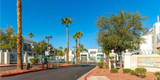 7100 PIRATES COVE Road Gallery 36