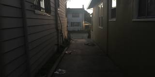 Wonderful2BR in Maxwell ParkHWF BackYard,10MinBikeRide2BART-5440 Wonderful2BR in Maxwell ParkHWF BackYard,10MinBikeRide2BART-5440 Gallery 8