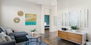 Olive Queen Creek Gallery 7