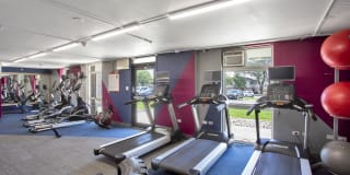 Vesty Park Gallery 25