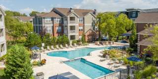 Lake Clearwater Gallery 63