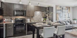 Terra at University North Park Gallery 4