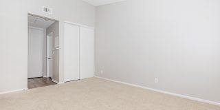 Mountain Springs Gallery 18