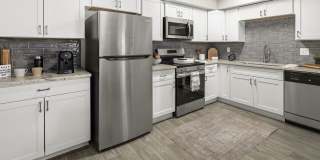 Asher on Valley View Gallery 15