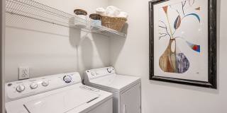 The Madison Apartments Gallery 12