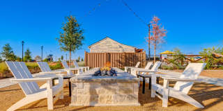 BB Living Light Farms Gallery 40