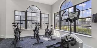 Alvista Hollywood Gallery 25