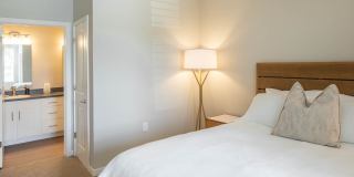 Killarney Woods Gallery 7