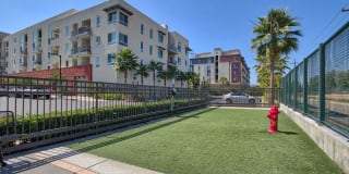 Boardwalk by Windsor Gallery 37