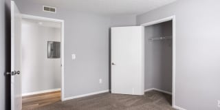 Forest View Gallery 10